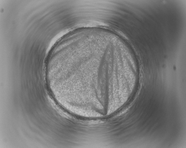 X0000051891122200507151931