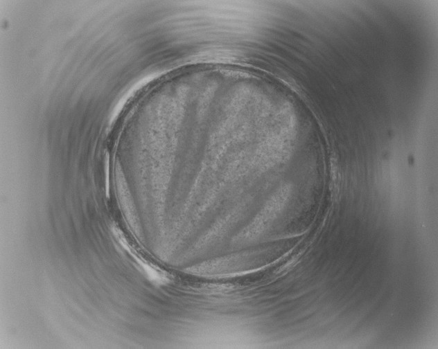 X0000051891123200507151931