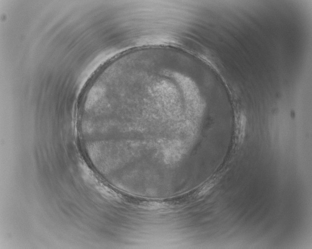 X0000051891124200507151931