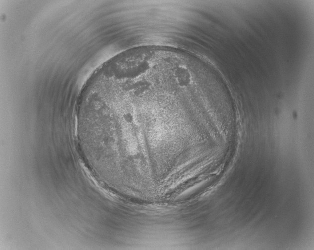 X0000051891125200507151931