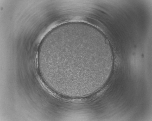 X0000051891126200507151931