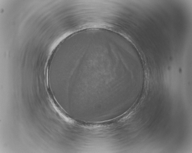 X0000051891127200507151931