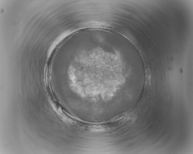 X0000051891128200507151931