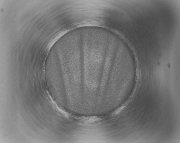 X0000051891129200507151931