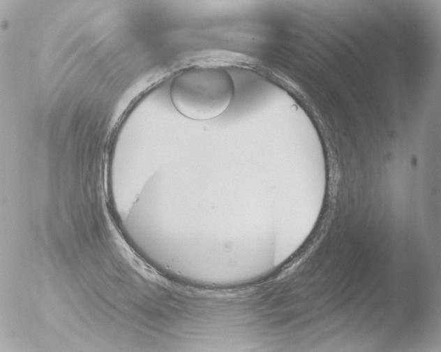 X0000051891130200507151931