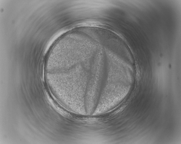 X0000051891131200507151931