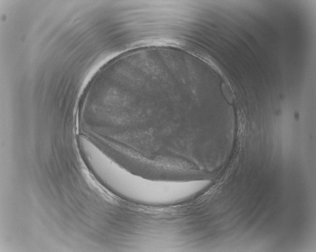 X0000051891132200507151931