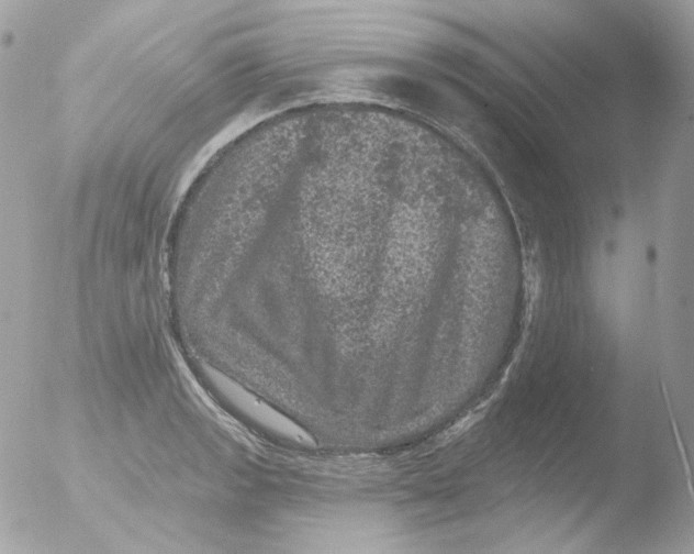 X0000051891133200507151932