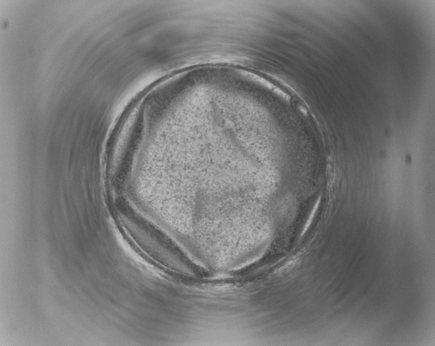 X0000051891135200507151932