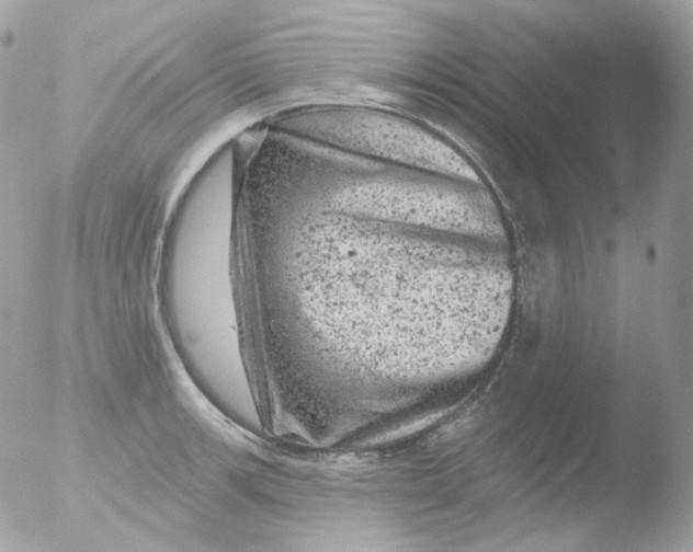 X0000051891139200507151932