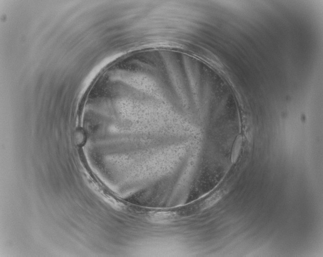 X0000051891140200507151932