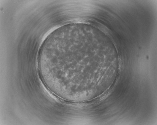 X0000051891141200507151932