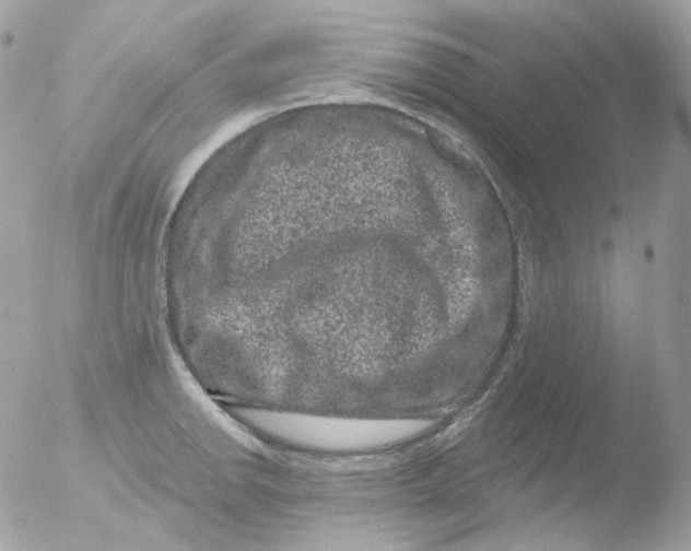 X0000051891142200507151932