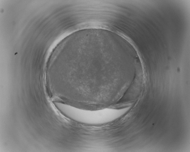 X0000051891144200507151932