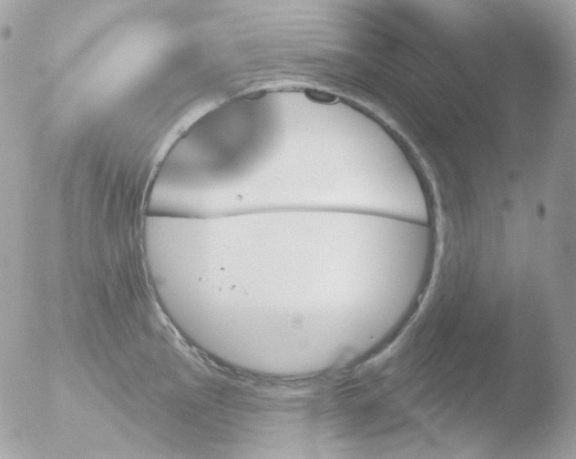 X0000051891145200507151932