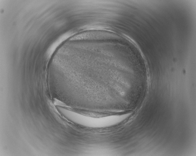 X0000051891146200507151932