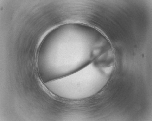 X0000051891148200507151932