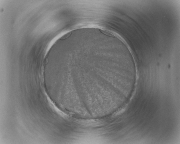 X0000051891149200507151932