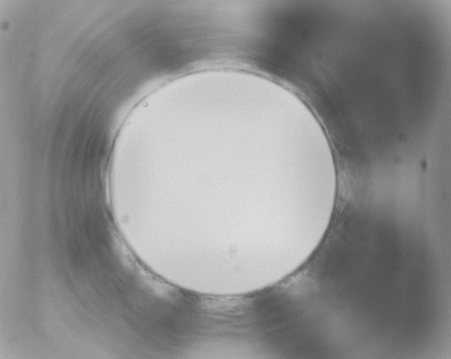 X0000051891150200507151932