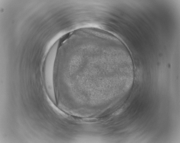 X0000051891151200507151932