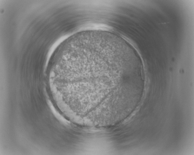 X0000051891152200507151932