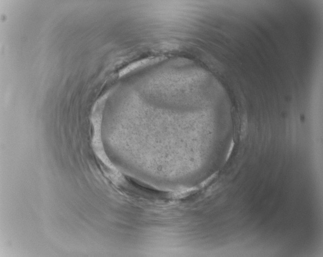 X0000051891153200507151931