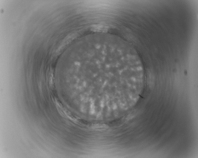 X0000051891154200507151931