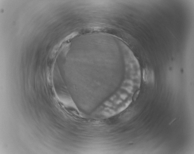 X0000051891155200507151931