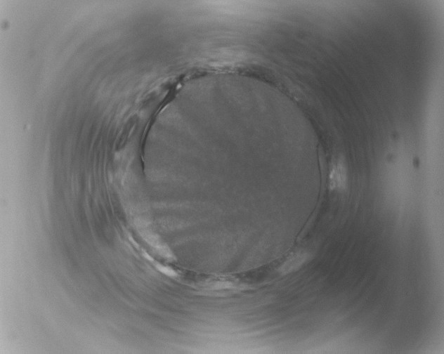 X0000051891156200507151931