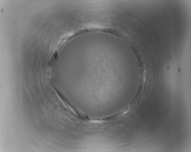 X0000051891157200507151931