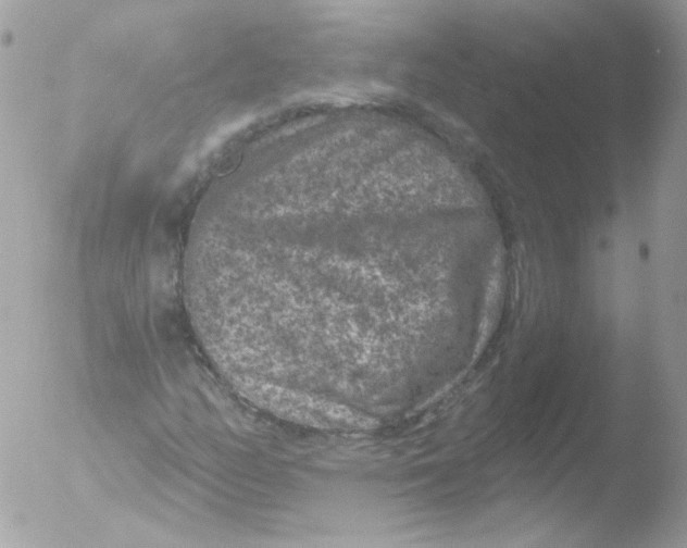 X0000051891158200507151931