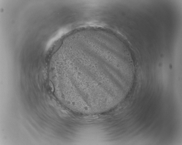 X0000051891159200507151931