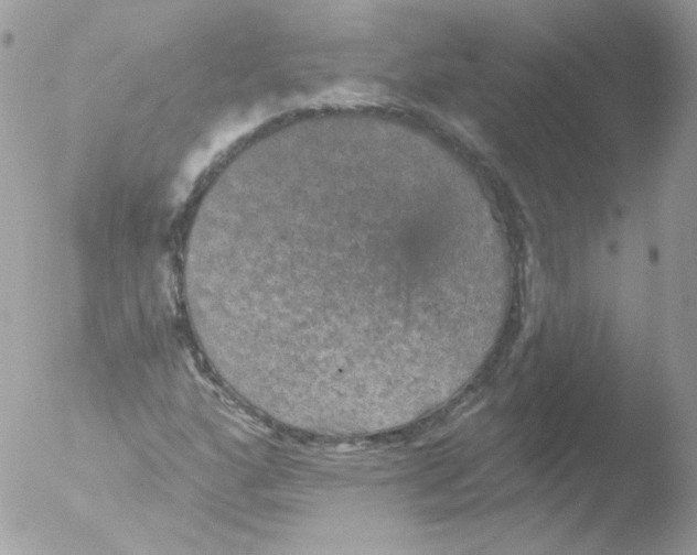 X0000051891160200507151931