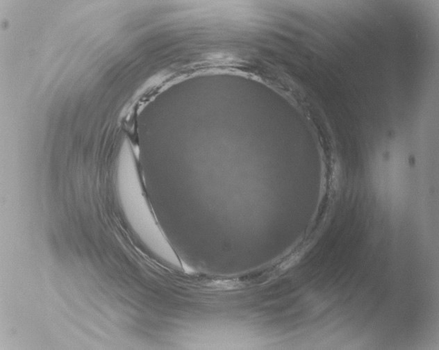 X0000051891161200507151931