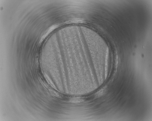 X0000051891162200507151931