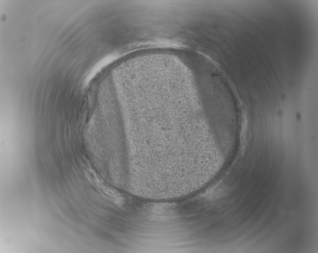 X0000051891163200507151931