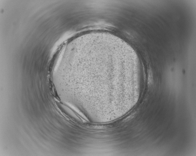 X0000051891164200507151931