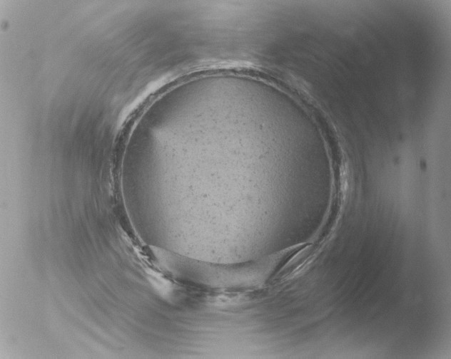 X0000051891165200507151931