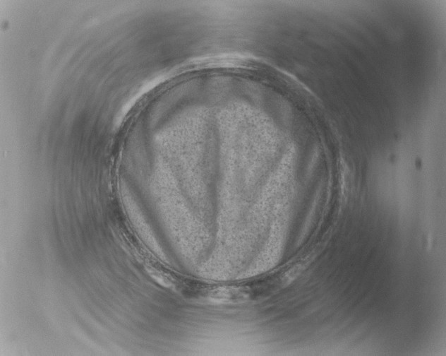 X0000051891166200507151931