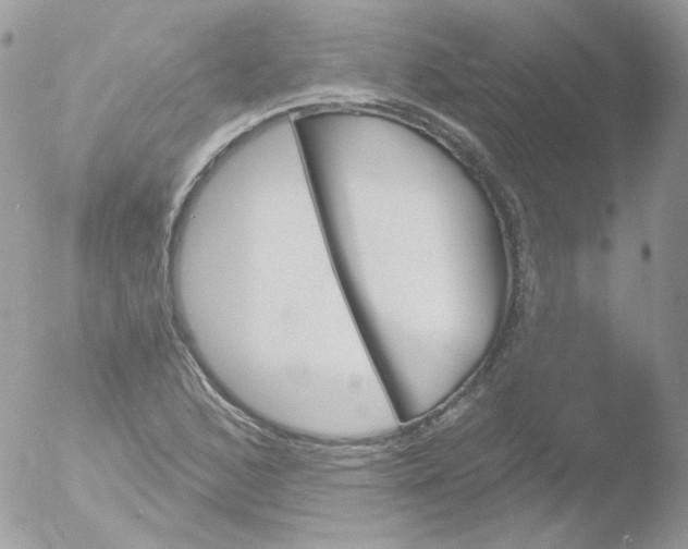 X0000051891168200507151931