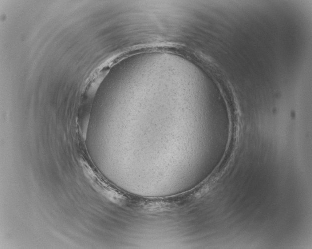 X0000051891169200507151931