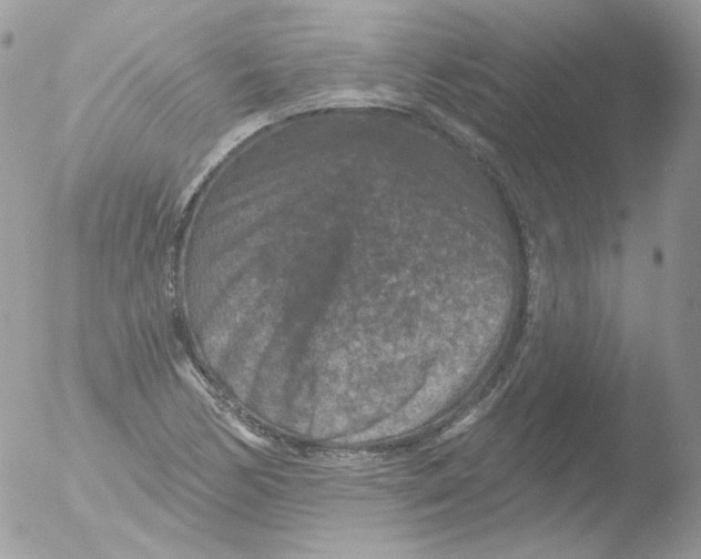 X0000051891170200507151931