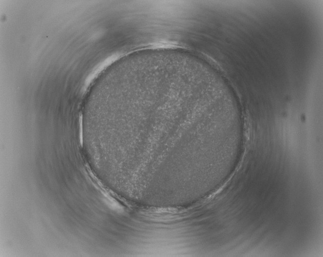 X0000051891171200507151931