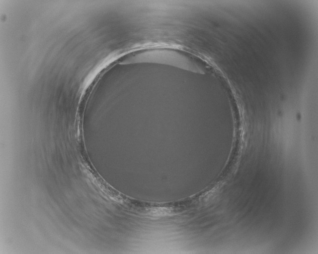 X0000051891173200507151931