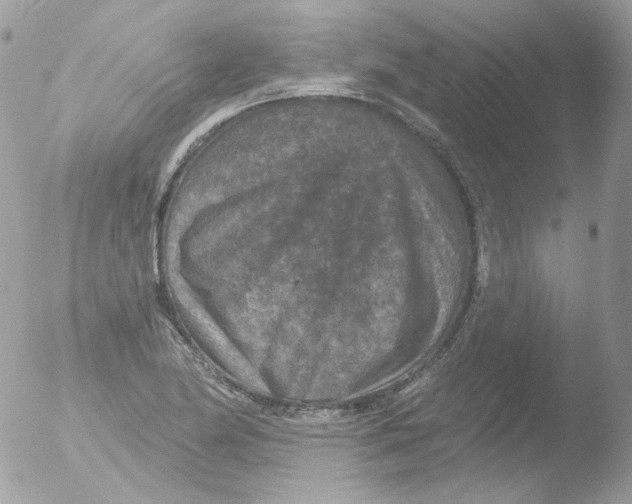 X0000051891174200507151931