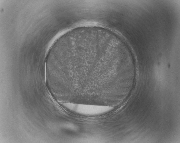 X0000051891175200507151931