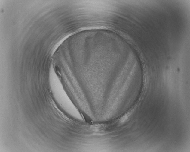 X0000051891177200507151931