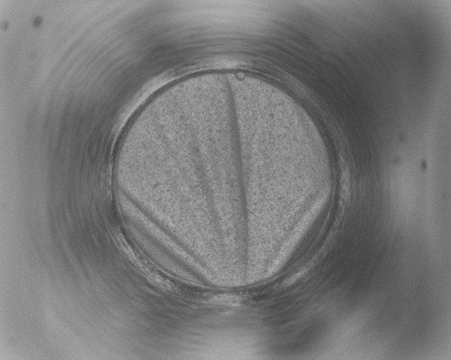 X0000051891178200507151931