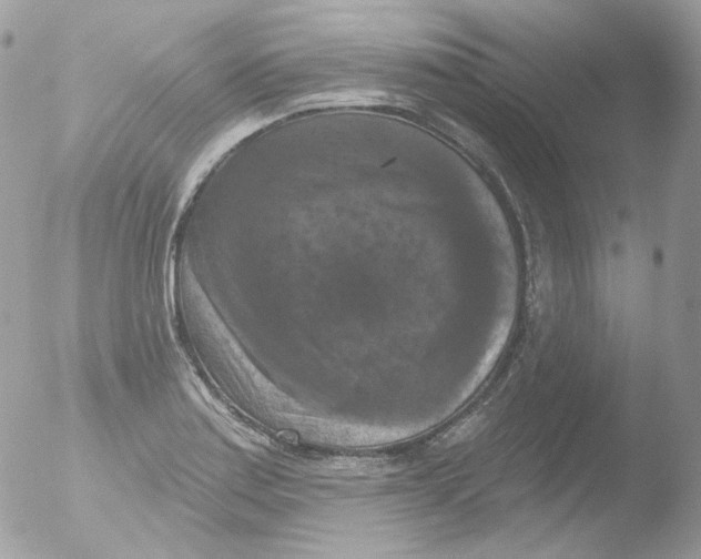 X0000051891179200507151931