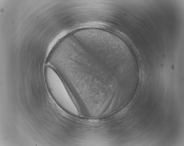 X0000051891180200507151931